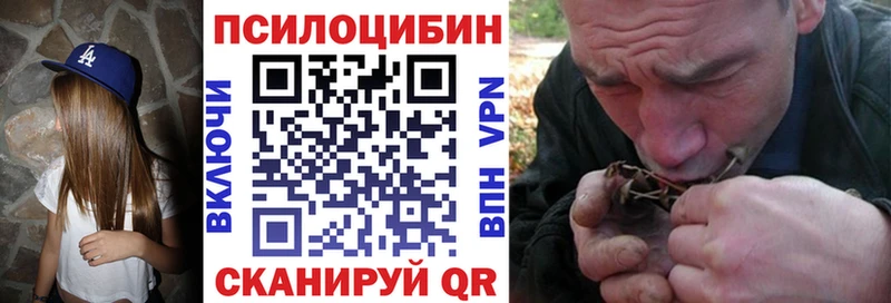 Псилоцибиновые грибы мицелий  kraken онион  Куйбышев 